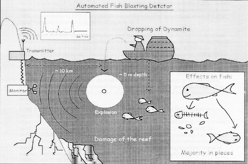Principle of underwater blasting detection